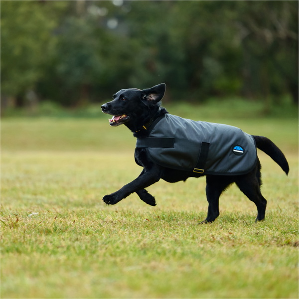 2025 Weatherbeeta Comfitec Classic Waterproof Dog Coat 1029048 - Charcoal